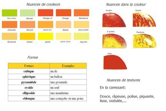 image citrouille.jpg (0.2MB)